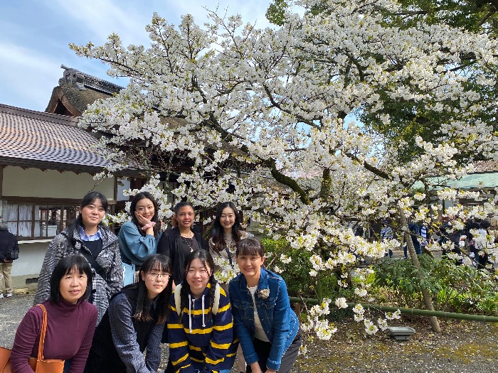 世界平和女性連合WFWP留学生支援活動