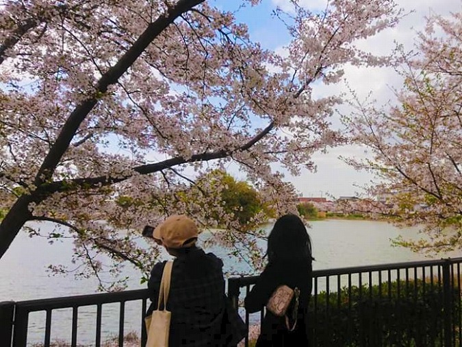 世界平和女性連合WFWP留学生支援