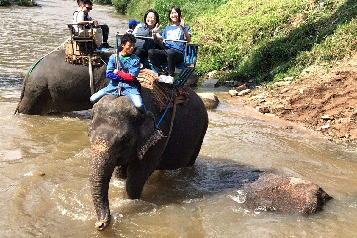 thai2018s